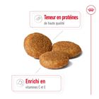 Royal Canin - Croquettes Medium Adult image number null