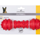 Eyenimal - Jouet DUMBBELL à Mâcher en Caoutchouc pour Chiens - 18cm image number null