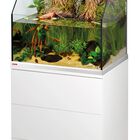 Eheim - Aquarium + Meuble Blanc Proxima Fauna - 113L image number null