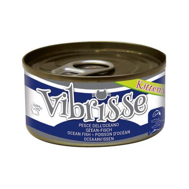 Vibrisse - Pâtée KITTEN POISSON D'Océan pour Chatons - 70g