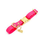 Pop Dog - Collier Glouton Rose pour Chien - S image number null