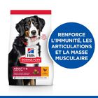 Hill's Science Plan - Adult Croquettes Pour Grand Chien Au Poulet  - 18kg image number null