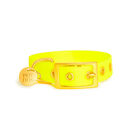 Pop Dog - Collier à Œillet Joyeux Jaune pour Chien - S image number null