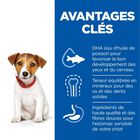 Hill's Science Plan - Puppy Small & Mini Croquettes Pour Chiot De Petite Taille Au Poulet -  3kg image number null