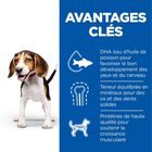 Hill's Science Plan - Puppy Croquettes Pour Chiot Au Poulet  - 12kg image number null