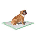 Croci - Tapis Hygénique Super Nappy Daisy pour Chiots - 57x54cm image number null