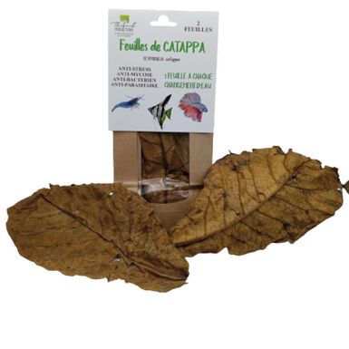 Thibaud - Feuilles de Catappa pour Poissons d'Eau Douce - x2