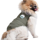 Bobby - Manteau Finlande Vert de Gris pour Chiens - 30cm/S image number null