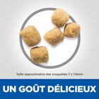 Hill's Science Plan - Mature Adult Light Croquettes Pour Chat Agé Au Poulet -  7kg image number null