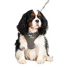 Bobby - Harnais T-Shirt Rio Anthracite XS pour Chiens - 25cm image number null