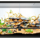 Repto - Terrarium Universel Terra Earth L - 91x46x46cm image number null