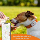 Weenect - Traceur GPS Blanc Edition 2023 pour Chiens - L/XL image number null