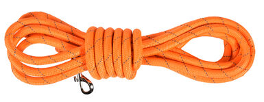 Bobby - Longe Walk Orange pour Chiens  - 3m