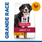 Hill's Science Plan - Adult Croquettes Pour Grand Chien Au Poulet  - 18kg image number null