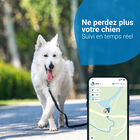 Tractive - Traceur GPS DOG 4 pour Chiens - Bleu image number null