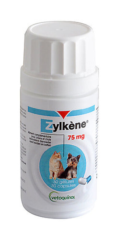 Zylkene Chat  Complément alimentaire pour le chat