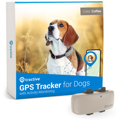 Tractive - Traceur GPS DOG 4 pour Chiens - Marron