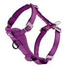 Kurgo - Harnais de Sécurité "Tru-Fit" Violet pour Chiens - XS image number null