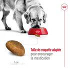 Royal Canin - Croquettes Maxi Adult pour Chien image number null