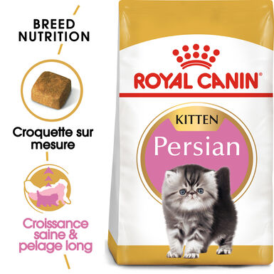 Royal Canin - Croquettes PERSIAN KITTEN CHATONS - 10KG