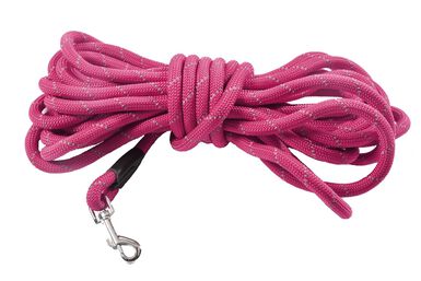 Bobby - Longe Walk Fuchsia pour Chiens - 10M