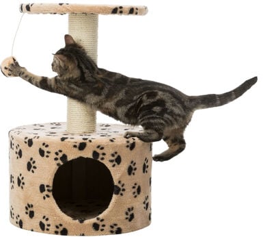 Trixie - Junior arbre à chat Toledo beige - 61 cm