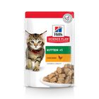 Hill's Science Plan - Kitten Multipack 12 Sachets Repas Pour Chaton Poulet Et Poisson  - 12x85g image number null