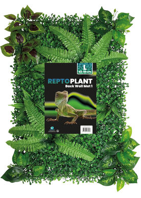 Repto - Décoration Repto Plant Back Wall Mat 40-60 Cm 1