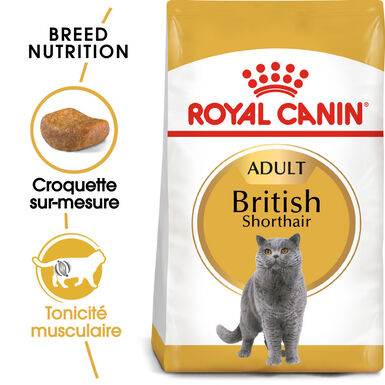 Royal Canin - Croquettes BRITISH SHORTHAIR ADULT pour Chats - 10Kg