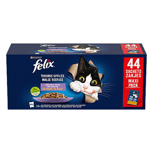 Les 9 vies de Félix le chat