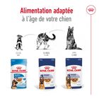 Royal Canin - Sachet Fraicheur Maxi Adult En Sauce Pour Chien De Grandes Races - 10x140g image number null