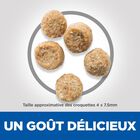 Hill's Science Plan - Mature Adult Light Small & Mini Croquettes Pour Petit Chien Agé Poulet - 2,5kg image number null