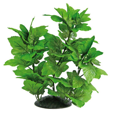 Amtra - Décoration Plante Replica Hygrophila - 30cm