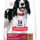 Hill's Science Plan - Adult Croquettes Pour Chien A L'agneau Et Riz  - 12kg image number null