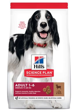 Hill's Science Plan - Adult Croquettes Pour Chien A L'agneau Et Riz  - 12kg