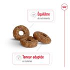 Royal Canin - Croquettes Mini Ageing 12+ pour Chien Senior - 1,5Kg image number null