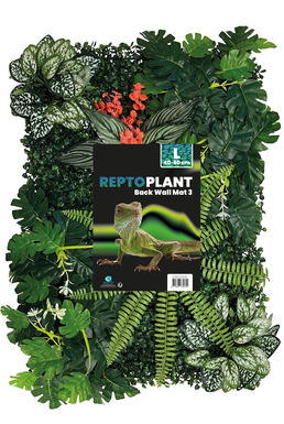 Repto - Décoration Repto Plant Back Wall Mat 40-60 Cm 3