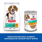 Hill's Science Plan - Adult Perfect Weight Croquettes Pour Chien Au Poulet  - 2 Kg image number null