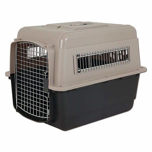 Cage transport IATA chien chat caisse transport
