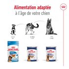 Royal Canin - Pâtée en Mousse Maxi Adult Ageing L - 410g image number null