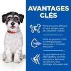 Hill's Science Plan - Perfect Weight & Active Mobility Aliment Pour Petit Chien Adulte Poulet - 1,5kg image number null