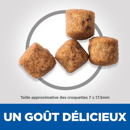 Hill's Science Plan - Adult Perfect Weight Croquettes Pour Grand Chien Au Poulet  - 12kg image number null