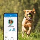 Tractive - Traceur GPS DOG 4 pour Chiens - Blanc image number null