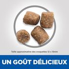 Hill's Science Plan - Adult Healthy Mobility Croquettes Pour Chien Au Poulet  - 12kg image number null