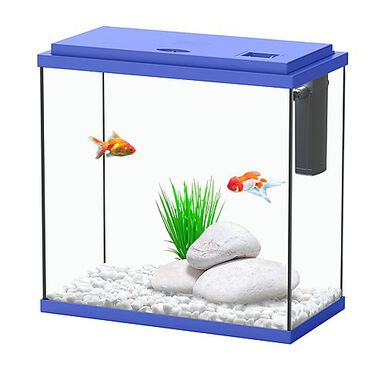 Aquarium pour poissons duo waterf globe noire TETRA : 1 pièce à
