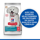 Hill's Science Plan - Hypoallergenic Adult Croquettes Pour Petit Chien Adulte Au Saumon  -  1,5kg image number null