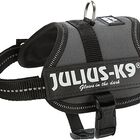 Julius-K9 - Harnais Baby 2XS de 33-45cm pour Chien - Anthracite image number null