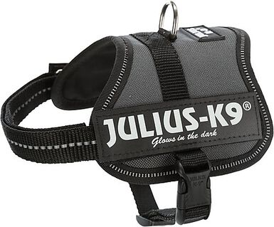 Julius-K9 - Harnais Baby 2XS de 33-45cm pour Chien - Anthracite