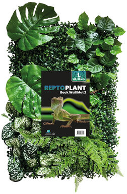 Repto - Décoration Repto Plant Back Wall Mat 40-60 Cm 2