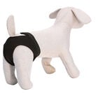 Croci - Culotte Hygiénique Doggy Pants Chaleurs pour Chiens - T70 image number null